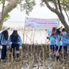 pohon mangrove