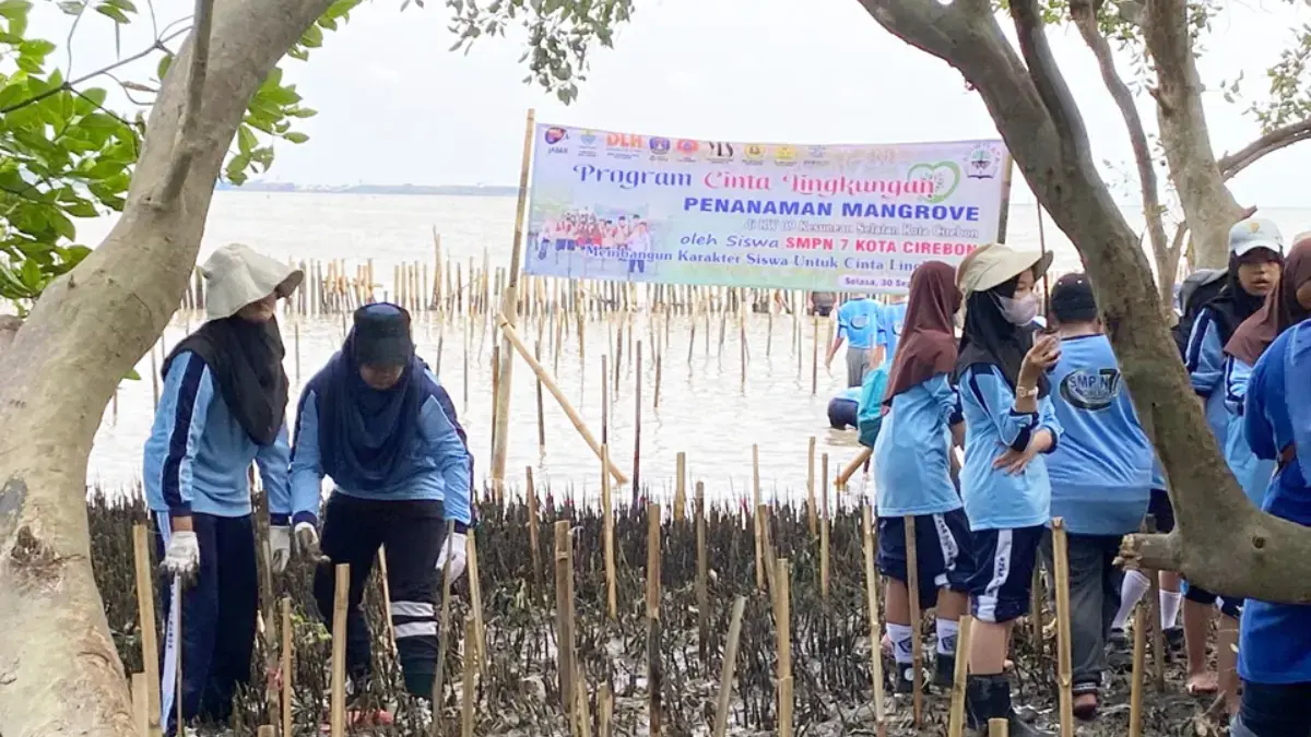 pohon mangrove