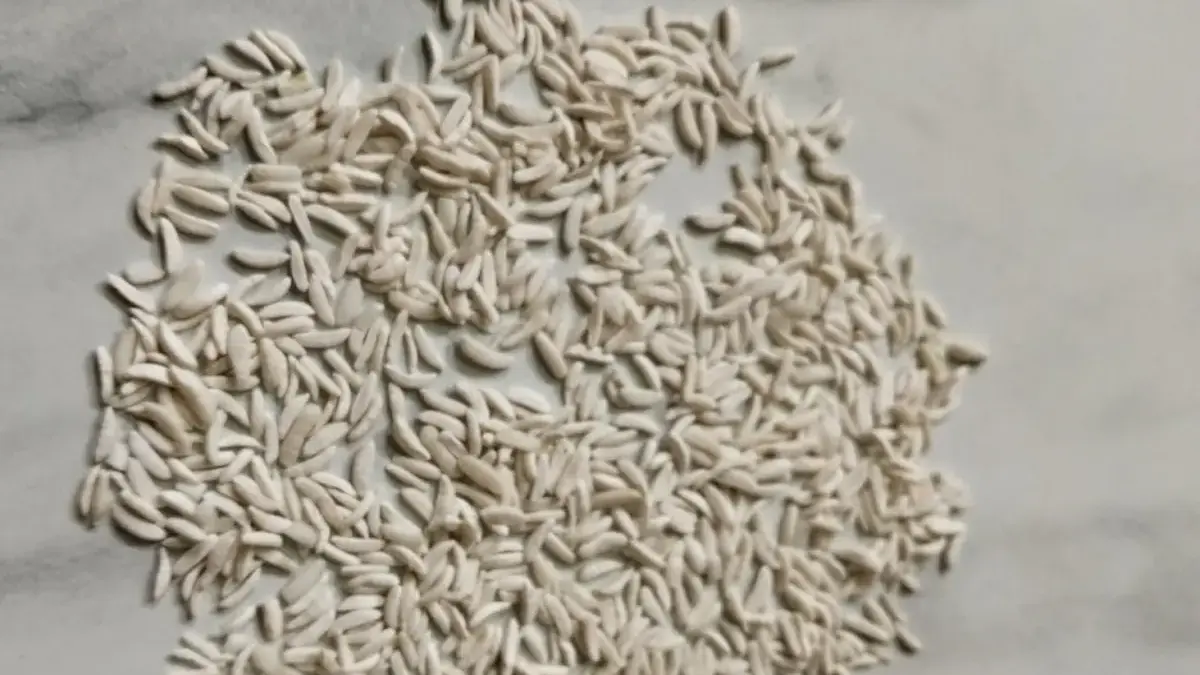 beras plastik