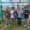 Elcomar Hidroponics Farm
