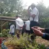 Pemdes Cemara Kulon