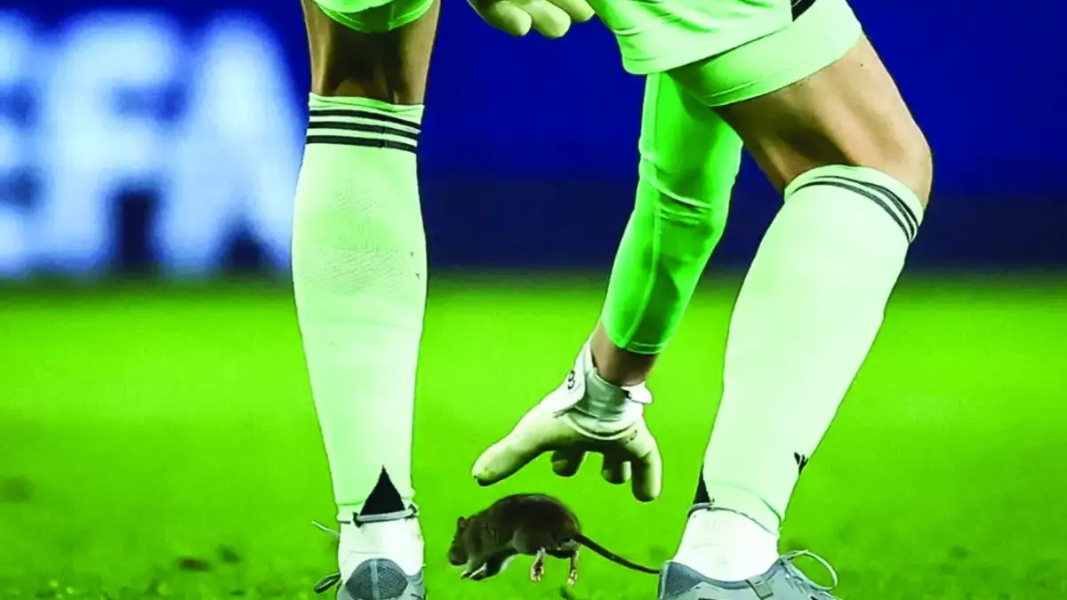 Thibaut Courtois