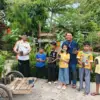 bibit pohon buah