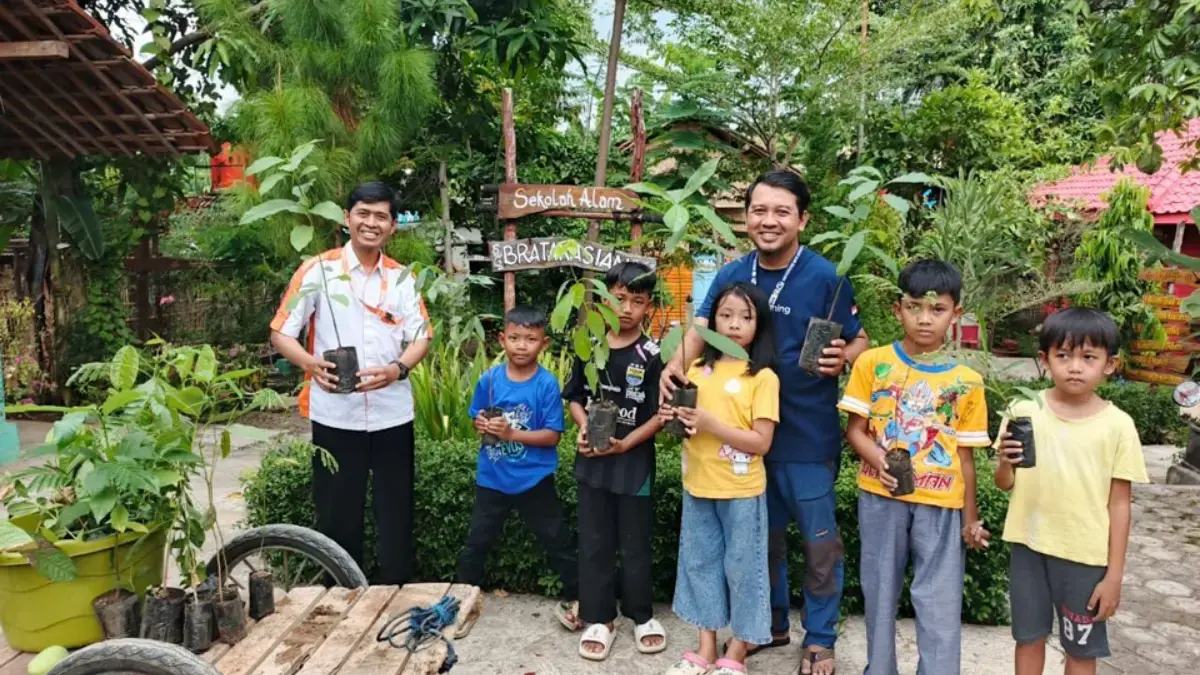bibit pohon buah
