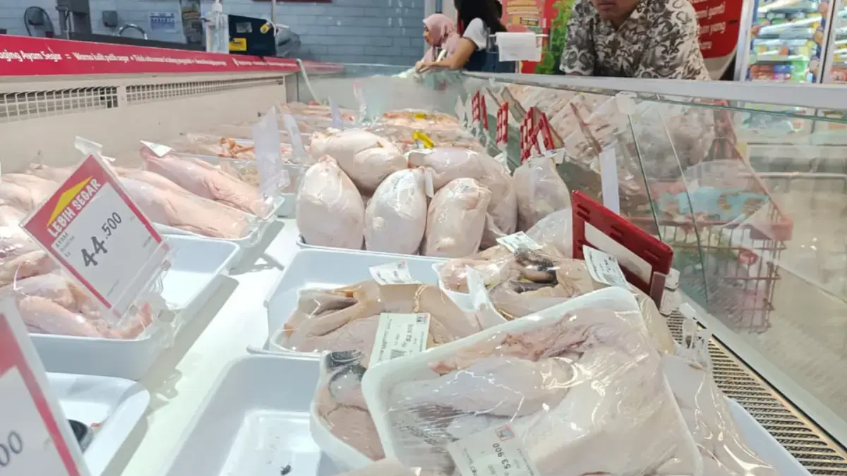 Daging ayam ras