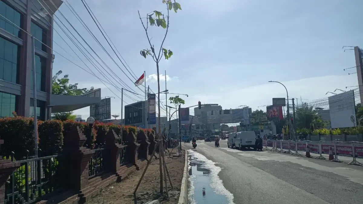 pohon di trotoar