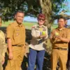 Mangga Gedong Gincu