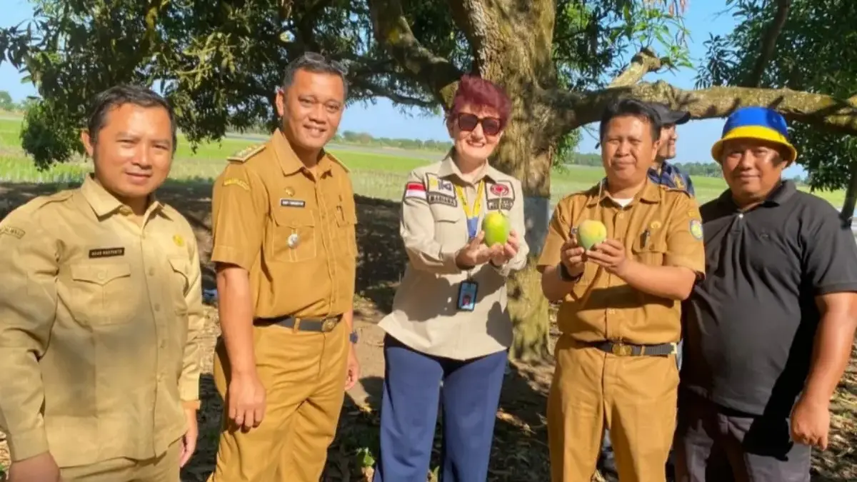 Mangga Gedong Gincu