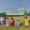 Kelompok Tani Sri Makmur III Kabupaten Indramayu