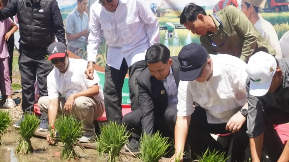 lumbung padi nasional