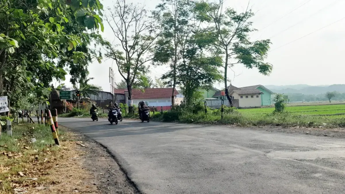 Proyek Pembebasan Lahan Jalan Lingkar Sumber Terhambat Akibat Efisiensi Anggaran Jalan Lingkar Sumber
