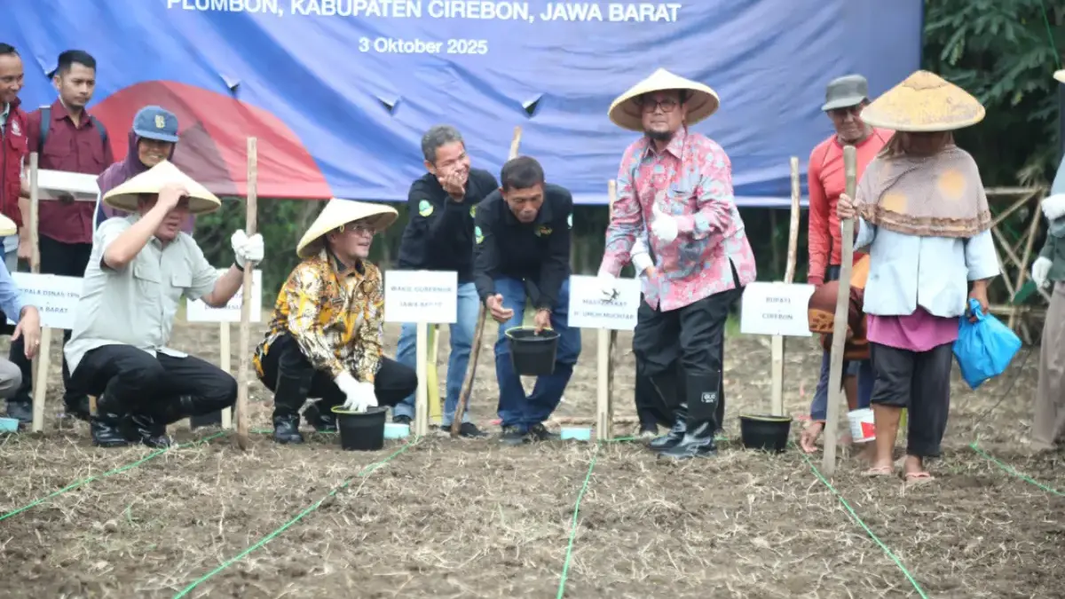 Dorong Ketahanan Pangan Nasional, Bupati Cirebon dan Wagub Jabar Tanam Sorgum  Wakil Gubernur Jawa Barat H Erwan Setiawan