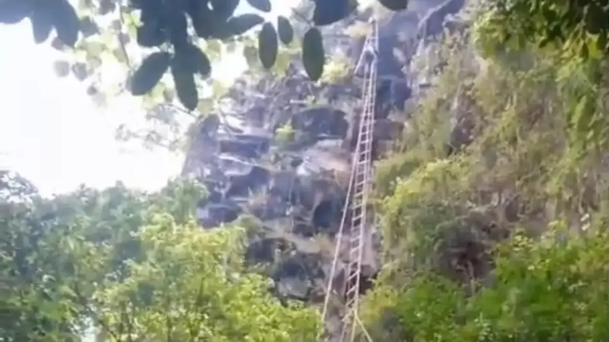 Perjuangan Pawang Lebah Asal Majalengka, Demi Manisnya Madu, Taklukan Tebing 200 Meter di Argapura pencari madu majalengka