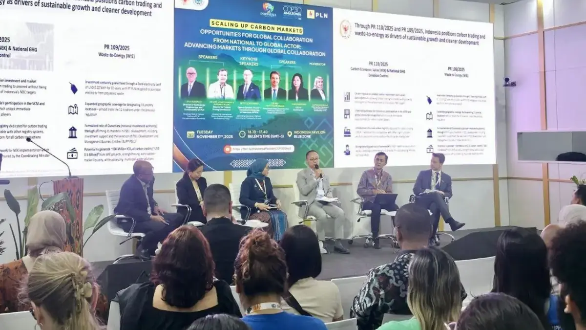 Scaling Up Carbon Markets