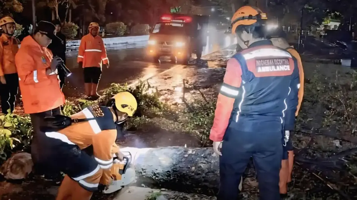 Cuaca Ekstrem Landa Cirebon, Hujan Deras Disertai Angin Kencang, Pohon Tumbang, Rumah Rusak evakuasi pohon roboh