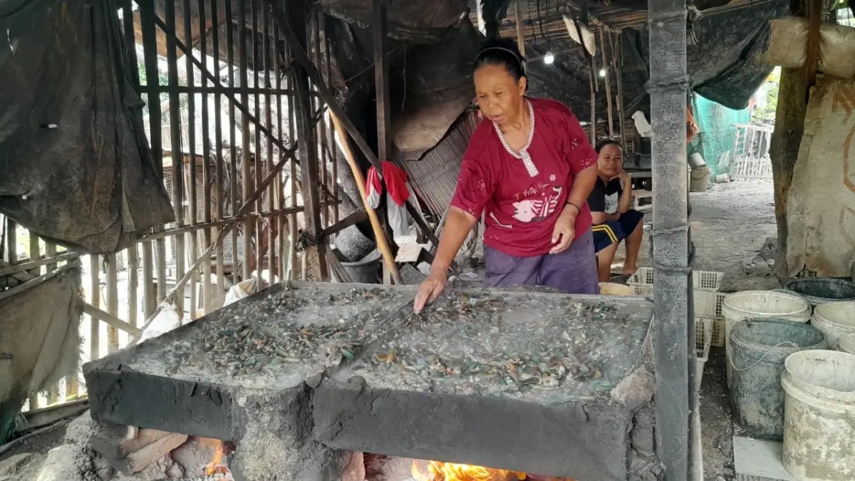 Potret Usaha Kerang Ijo di Desa Muara Suranenggala