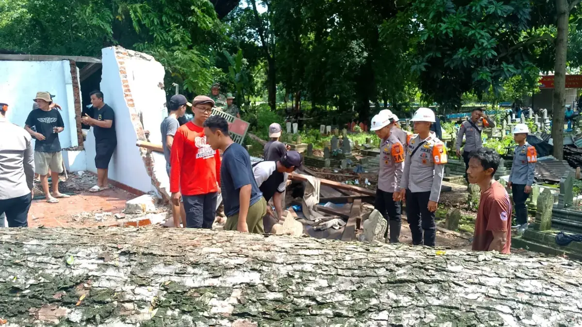 pohon tumbang di Gunung jati