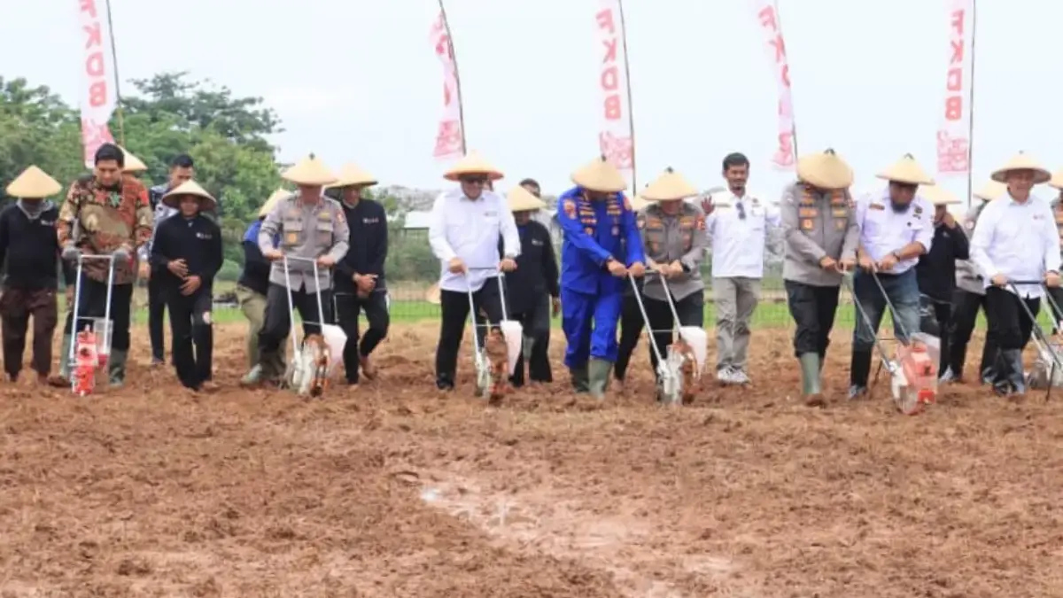 Perkuat Ketahanan Pangan, Kabaharkam Polri Komjen Karyoto Pimpin Penanaman Jagung di Indramayu Forum Komunikasi Doa Bangsa