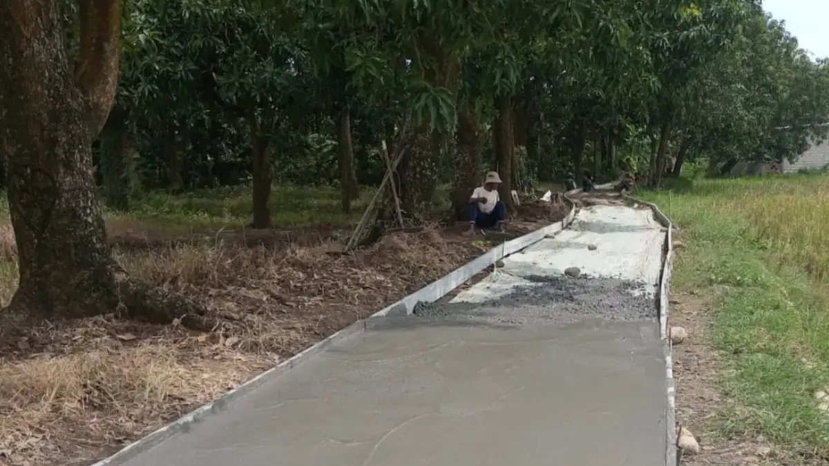 Dukung Target Produksi Padi 1,7 Juta Ton, Pemdes Tenajar Lor Bangun JUT Sepanjang 137 Meter jalan usaha tani