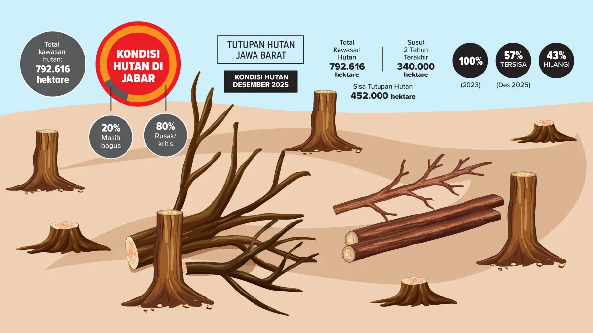 Awas! Hutan Jabar Tinggal 20 Persen, Ancaman Bencana di Depan Mata Hutan Jabar Tinggal 20 Persen