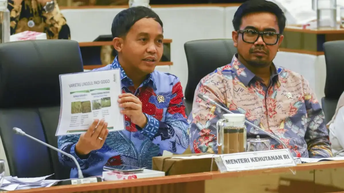 Jika Tak Sanggup Tangani Bencana Sumatera