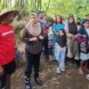 Kelapa Sawit Ganti jadi tanaman ramah lingkungan