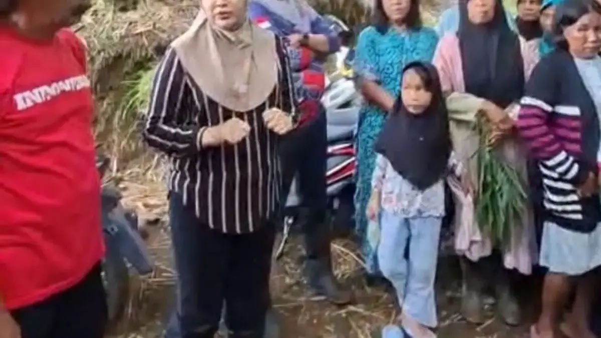 Kebun Sawit di Cigobang Cirebon Disorot, Ketua DPRD Dorong Penggantian Tanaman Ramah Lingkungan Kelapa Sawit Ganti jadi tanaman ramah lingkungan