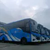 BRT dari Angkutan Masal jadi Aset Nganggur