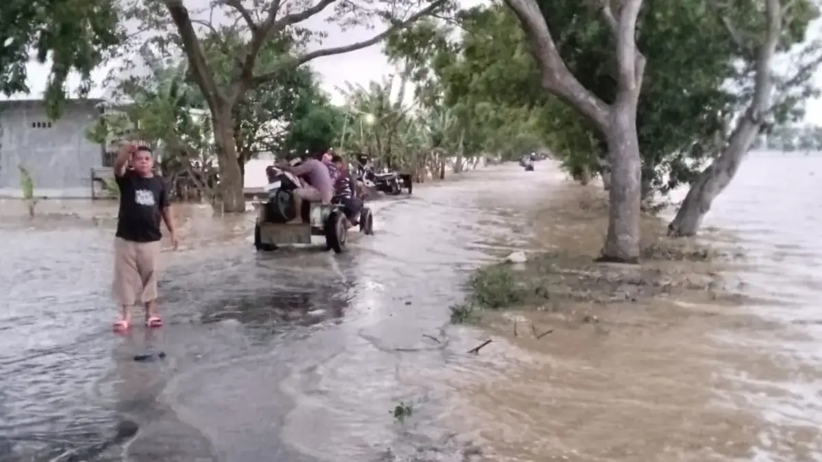 Sungai Cibuaya Meluap, Rendam Jalan Telagasari–Tempel dan Ratusan Hektare Areal Persawahan banjir indramayu