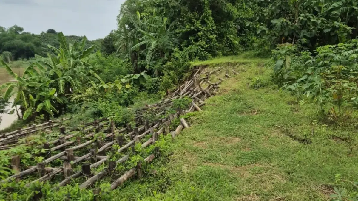 tanggul Sungai Cimanuk