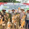 panen jagung di Desa Mekarwaru