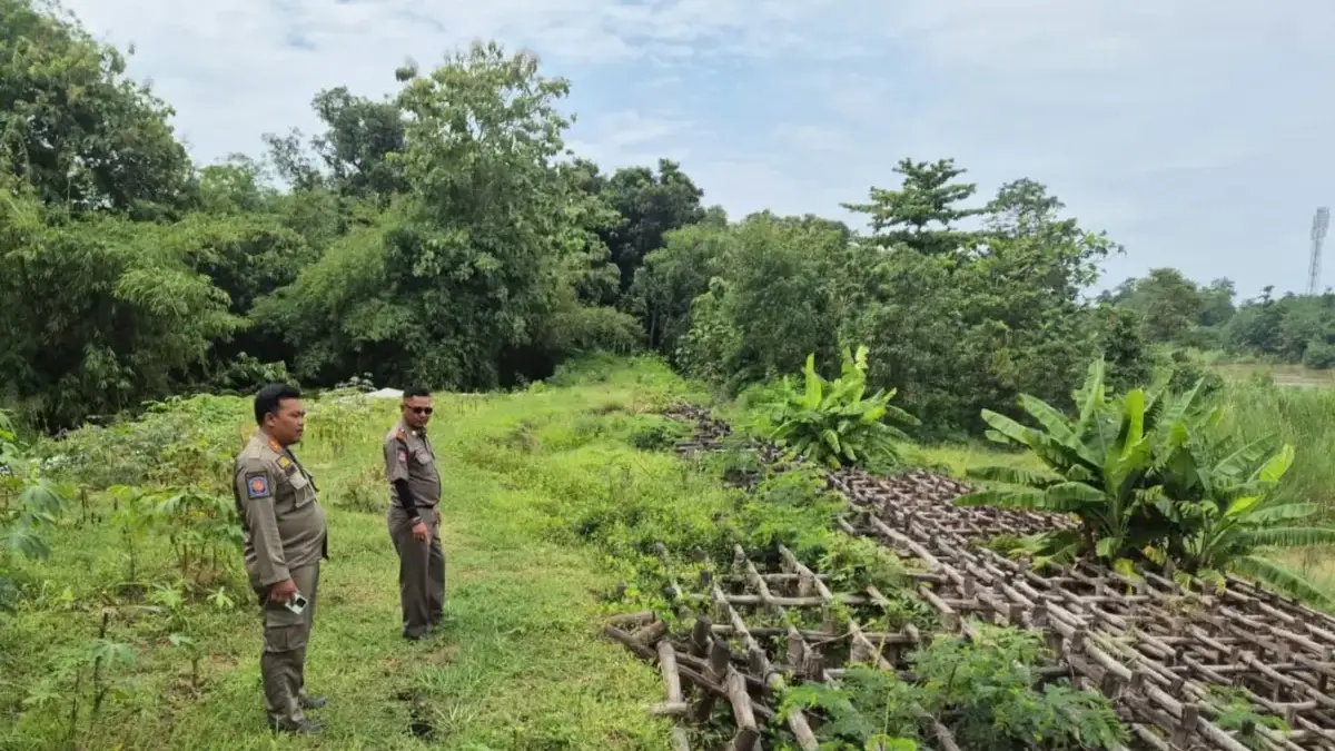 tanggul kritis di Desa Gedangan
