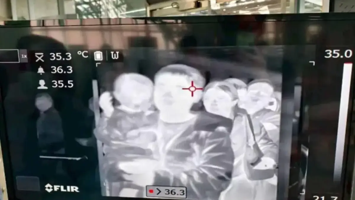 virus nipah thailand