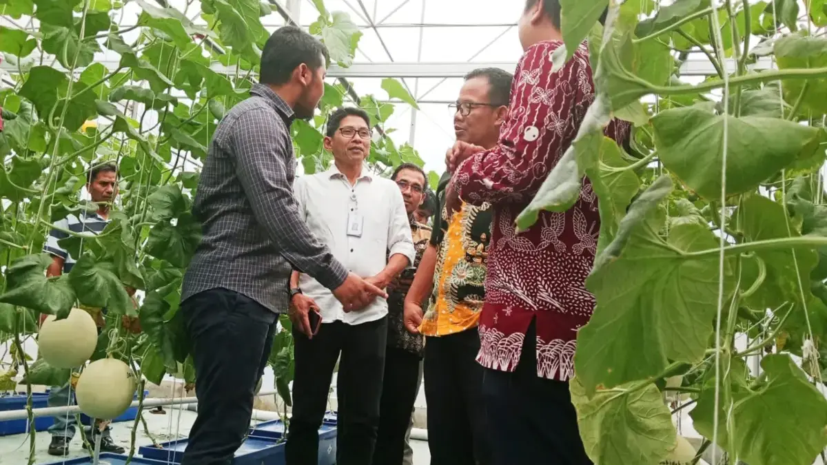 Dongkrak Produksi Melon di Indramayu, Pemkab Dukung Kolaborasi APEMI dan TIKA APEMI Indramayu