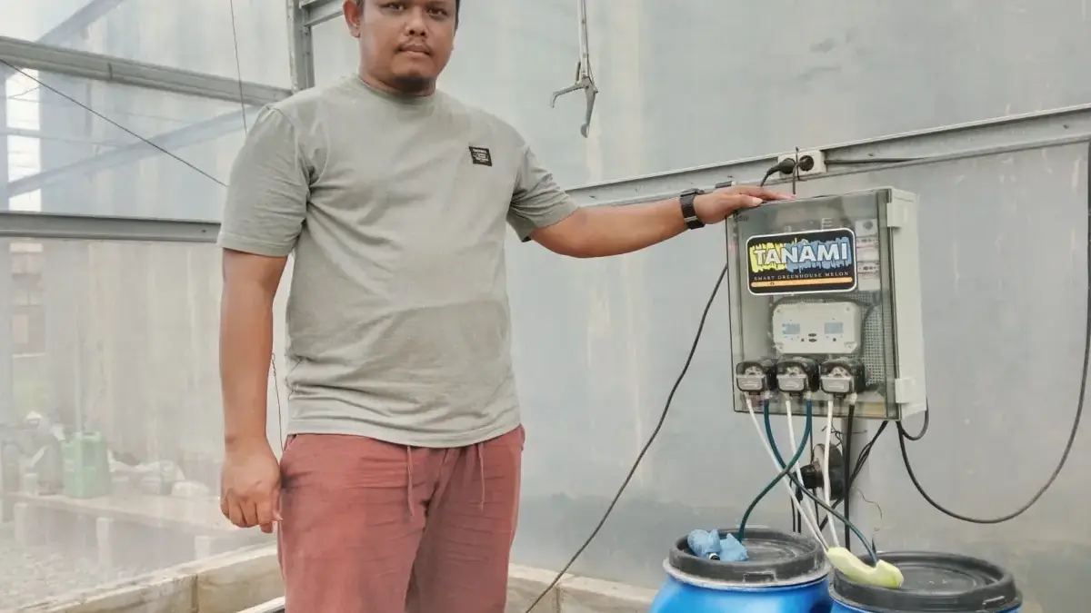 Kembangkan Teknologi IoT, Rohmat Sukses Berkebun Melon di Halaman Rumah Kebun Melon Smart Farming Tanami