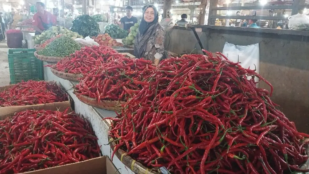 harga cabai