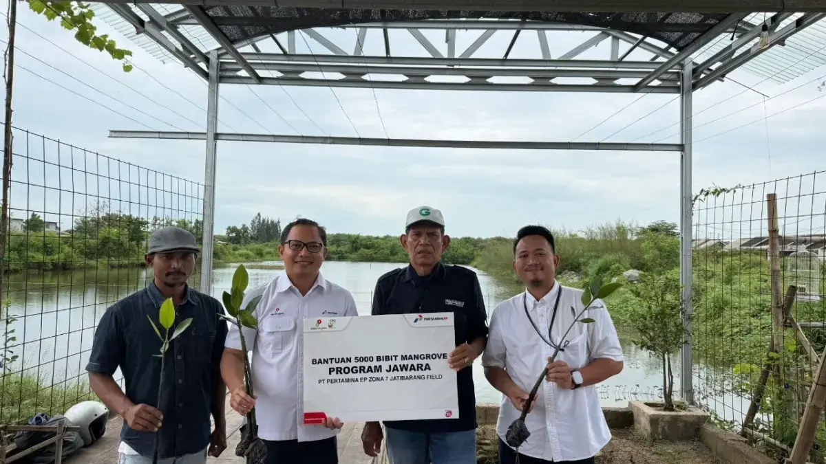 Perkuat Konservasi Mangrove Pesisir Cirebon Pertamina EP Zona 7