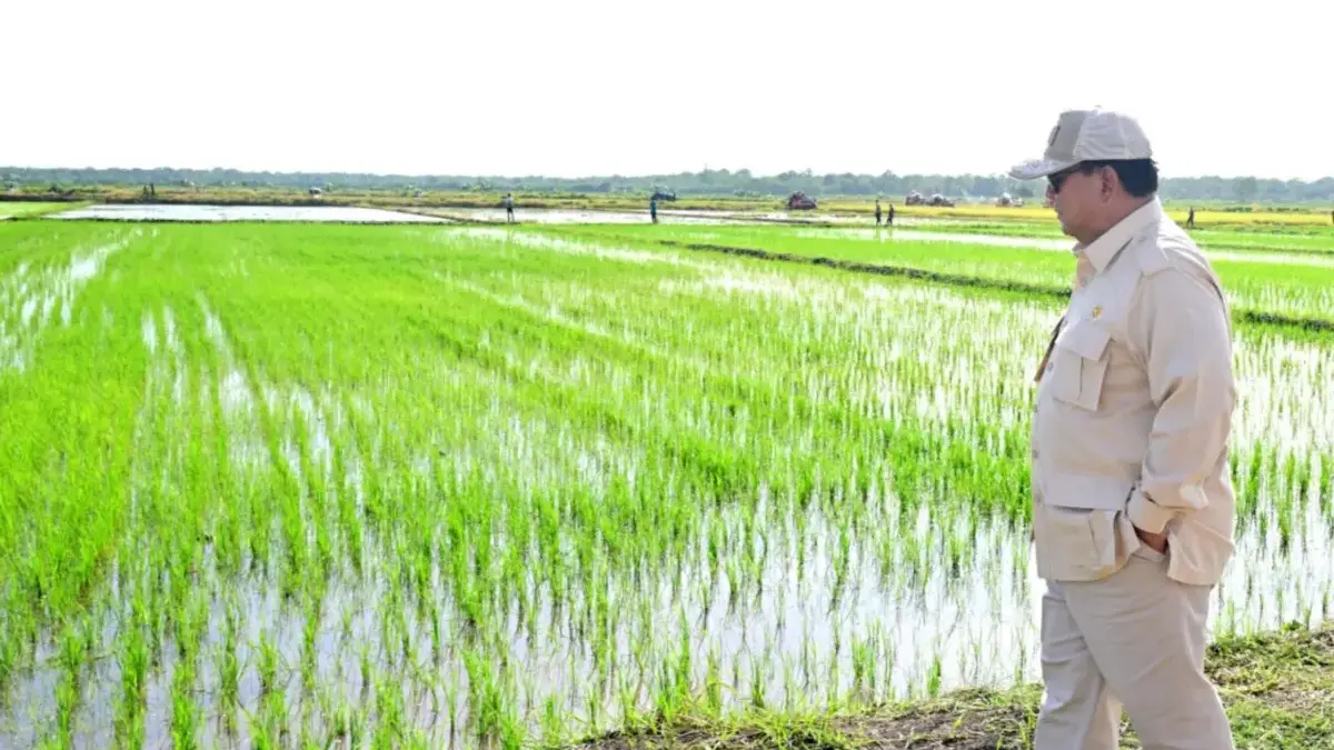 indonesia swasembada pangan