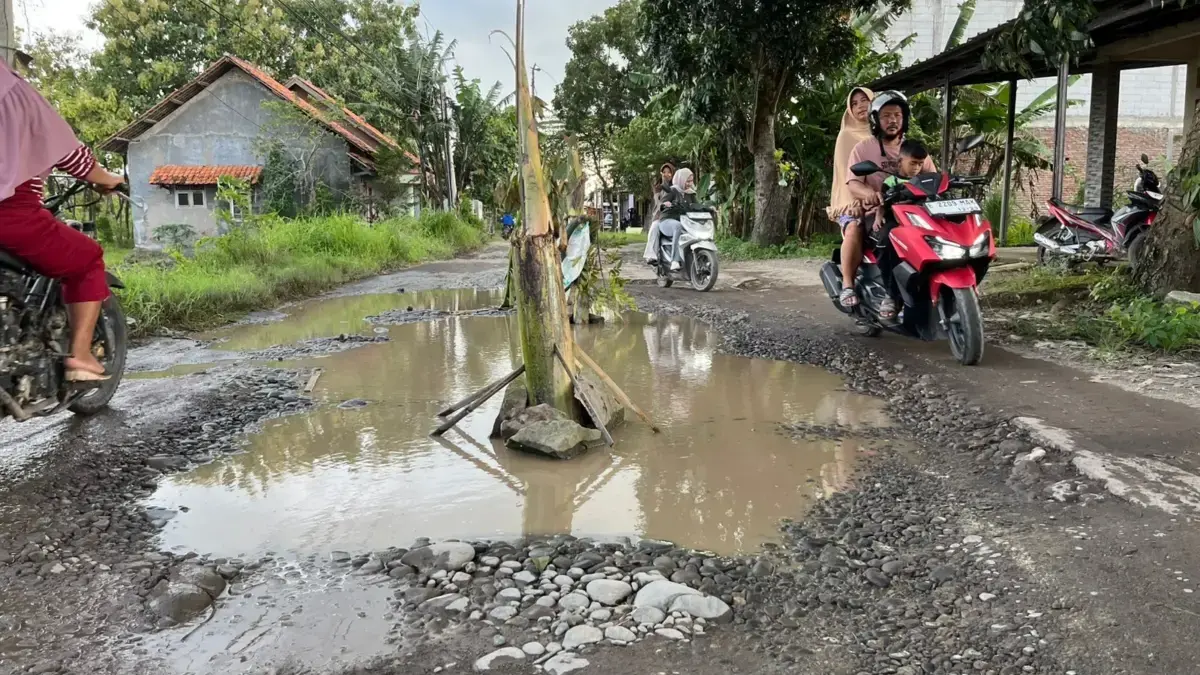 Jalan Dompyong - Karangwangun Rusak Parah Sejak 2018, Warga Tanam Pohon Pisang jalan rusak