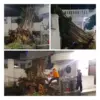 pohon beringin rumah dinas walikota cirebon tumbang