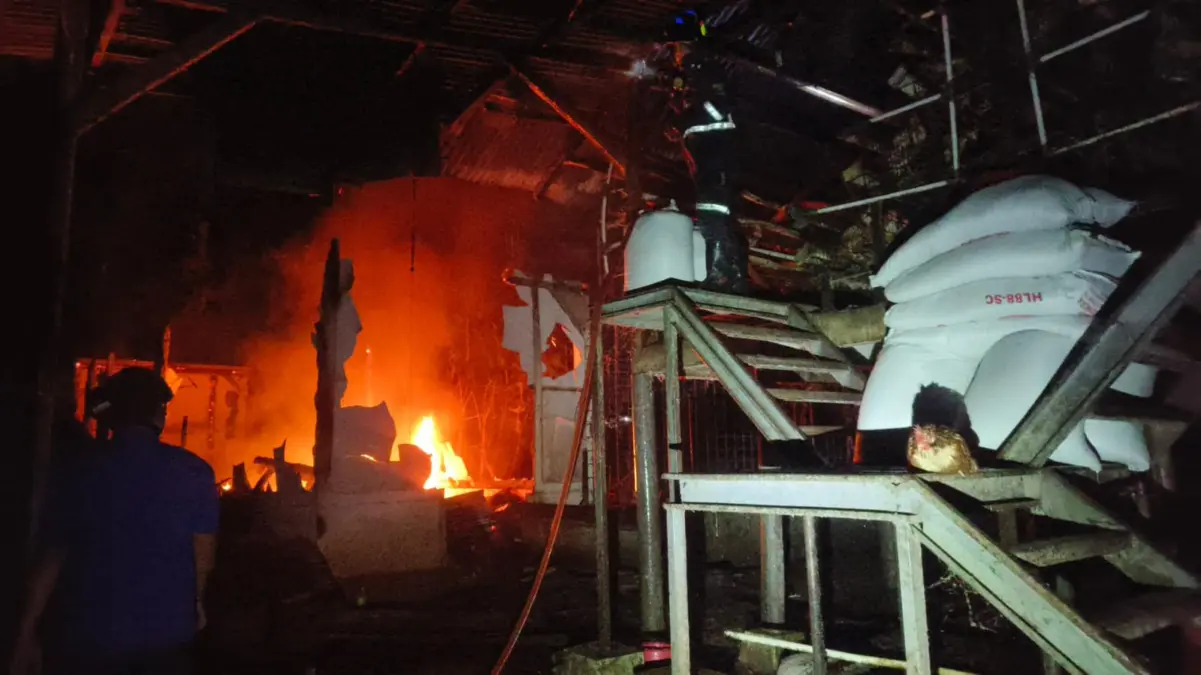 Ledakan Dini Hari Picu Kebakaran Bangunan di Winduhaji, Kerugian Capai Rp36,5 Juta gudang peternakan