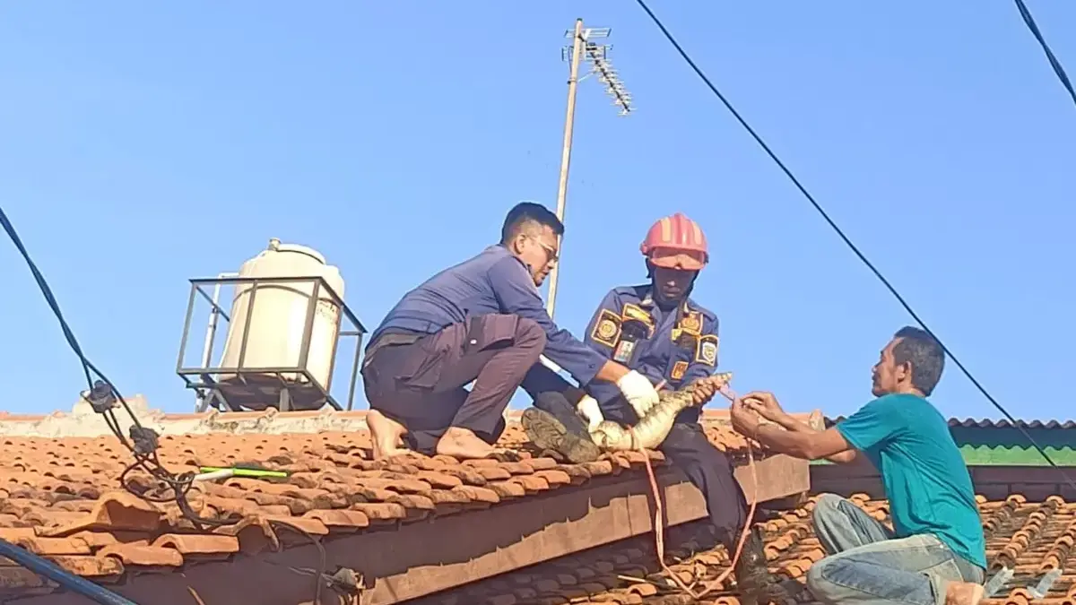 Damkar Kabupaten Indramayu