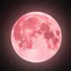 pink moon april 2026