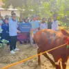 PNM Cabang Cirebon melaksanakan penyembelihan hewan kurban