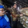 Desa Malangsemirang