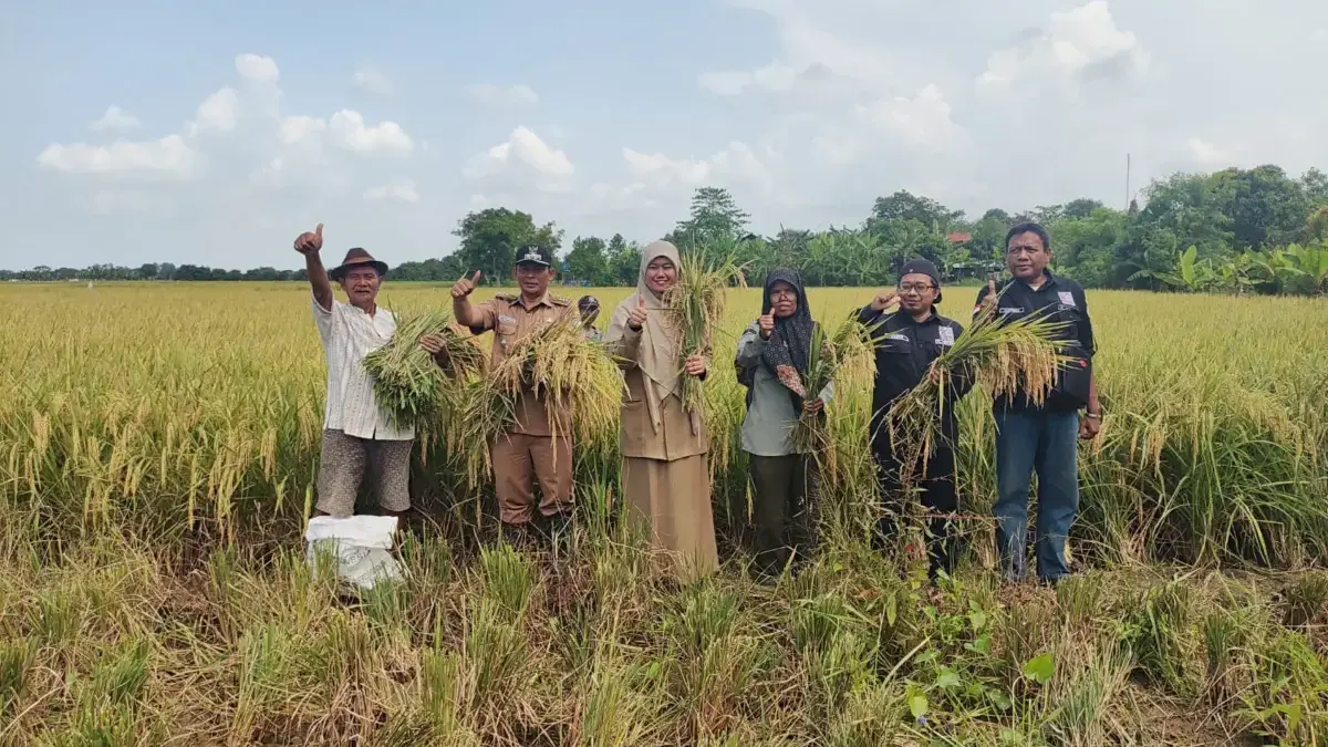 kegiatan ubinan