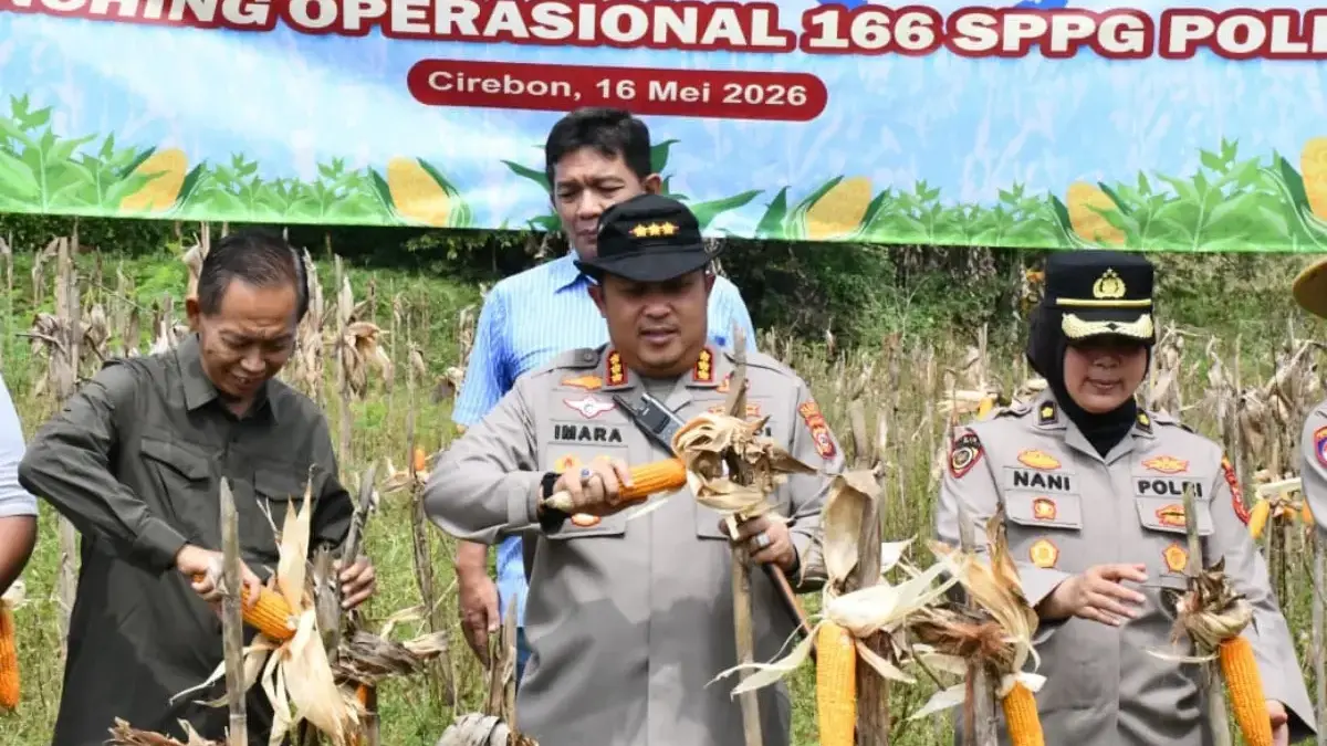 Panen Raya Jagung, Polresta Cirebon Dukung Swasembada Pangan Nasional panen raya jagung bersama Presiden RI Prabowo