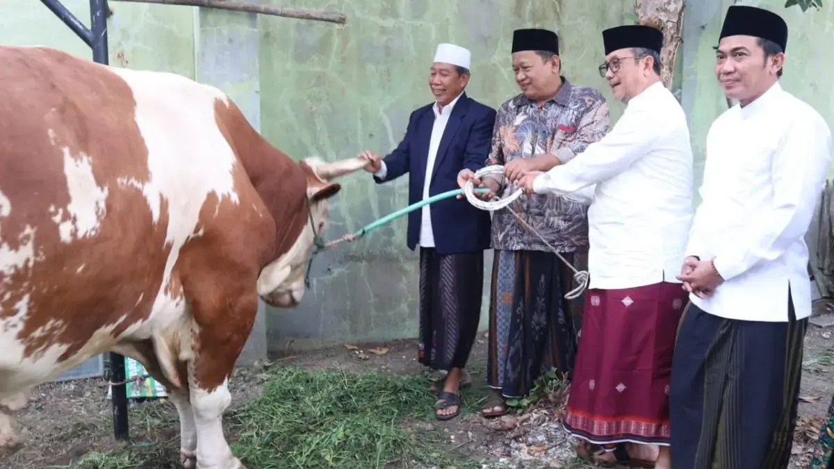 Usai Salat Idul Adha, Bupati Cirebon Serahkan Sapi Kurban untuk Warga, Ini Pesannya sapi kurban Bupati Cirebon
