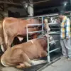 Hari Raya Idul Adha
