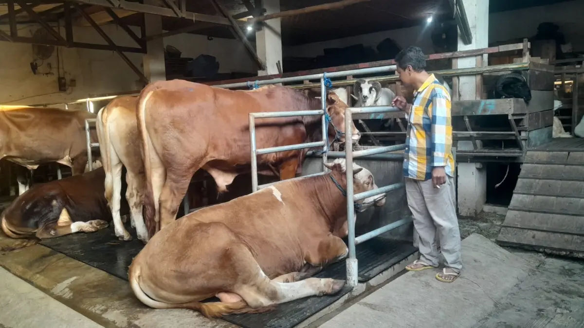 Hari Raya Idul Adha